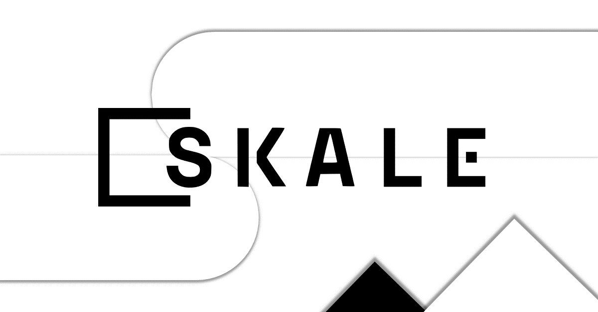 SKALE-la-gi.png