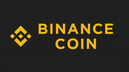 bnb-coin.png